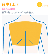 背中脱毛部位(上)